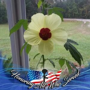 Meet your Posher, Hazel